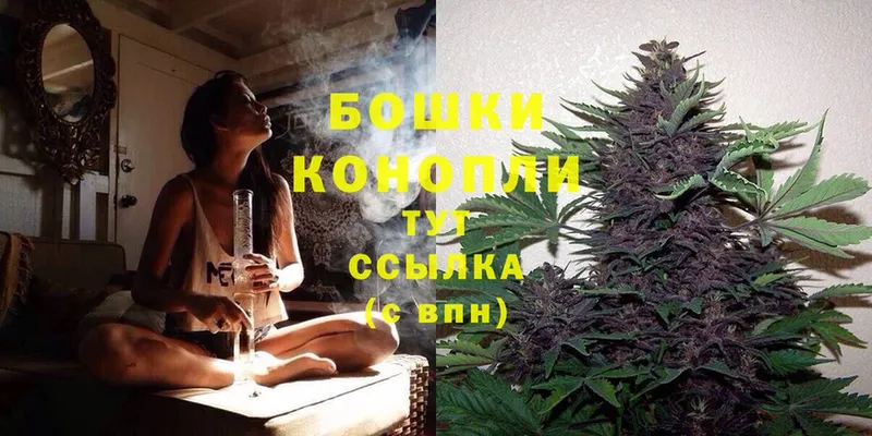 где можно купить   blacksprut зеркало  Бошки марихуана White Widow  Пролетарск 